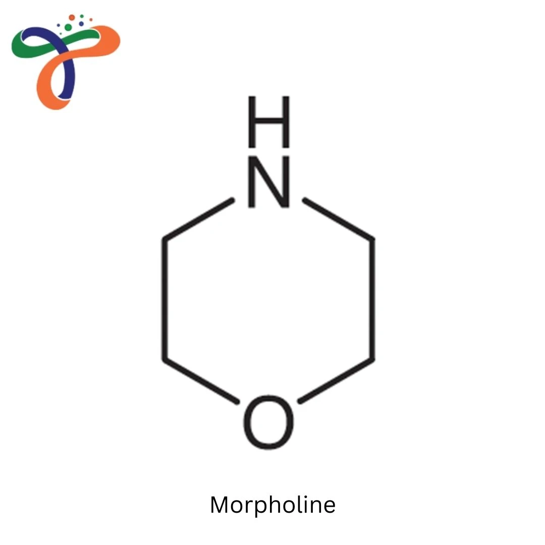 Morpholine